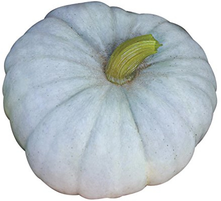 Burpee Jarrahdale (Heirloom) Pumpkin Seeds 25 seeds