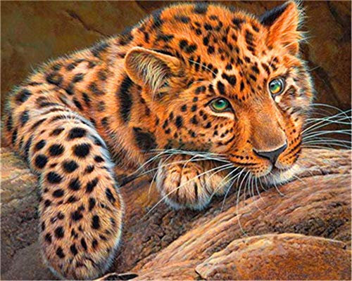 YEESAM ART DIY Ölgemälde Malen nach Zahlen Erwachsene Kinder, Leopard Tier Zahlenmalerei ab 5 Öl Wandkunst (Leopard A, mit Rahmen)
