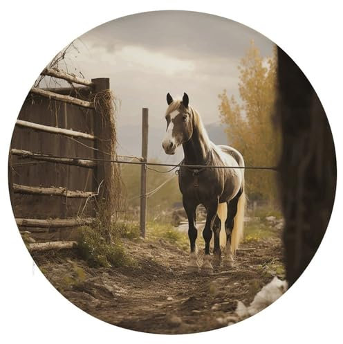 QMNRTK Coussin de chaise rond en mousse à mémoire de forme pour clôture et cheval - Pour meubles de terrasse - 38,1 x 38,1 cm - Coussins antidérapants avec housses amovibles - Coussin de tabouret de