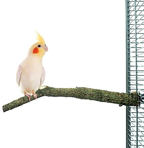 HappyBird | Natur Kork Vogel-Sitzstange - Small zum Sitzen, Anknabbern, Knuspern aus Natur Kork