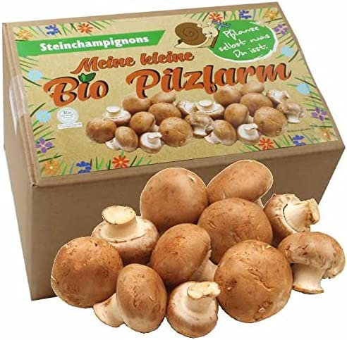 BIO Steinchampignon Komplettset 5kg - Pilze selber züchten