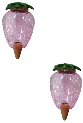 CAXUSD 2pièces Boule Arrosage Automatique Forme De Fraise pour Plantes Intérieur Créatif Et Pratique