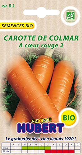 Graines BIO de Carotte de Colmar - 4 grammes