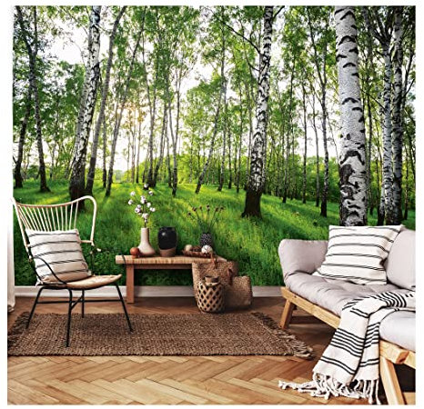 Fototapete Birkenwald Wald Sonne Bäume Wiese Gräser 400x280 cm Fototapeten Wohnzimmer Schlafzimmer Motivtapeten Vlies Tapete UV-Beständig Inklusive Kleister Montagefertig