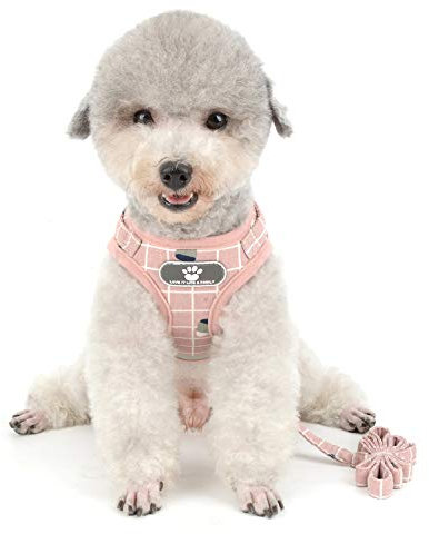 Ranphy Hundegeschirr für Kleine Hunde mit Leine Soft Reflektierend Verstellbar Welpen Geschirr Ausbruchsicher Atmungsaktiv Kariert Katze Brustgeschirr Chihuahua Weste Rosa S