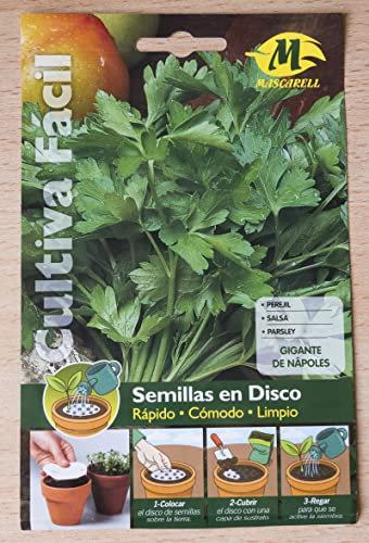 Semillas hortícolas - Perejil gigante de napoles formato disco (cultivo fácil) - Mascarell