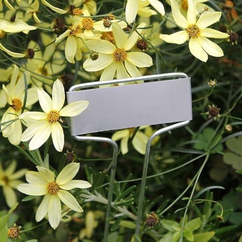 Lot de 20 étiquettes de jardin en aluminium zinc pour plantes (taille : 10,2 cm, 15,2 cm, 20 cm) pour marqueurs de plantes, fabriquées en cuivre et aluminium (10,2 cm)