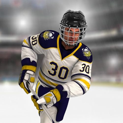 Eishockey-Helme, Straßenhockey-Torwarthelme Mit Hockey-Gesichtsschutz – Straßenhockey-Torwarthelme, Atmungsaktive Und Schützende Hockeyausrüstung Für Eishockey