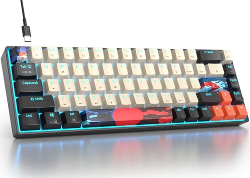 Fogruaden RGB Wired 60% Mechanical Keyboard, 68 Keys, Red Switch, Compact, Anti-Ghosting, Ergonomic, USB Wired, Windows/Mac/Laptop PC Gaming
