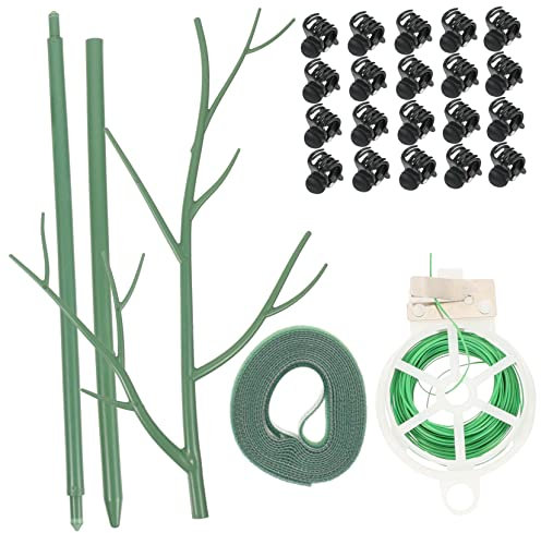 Sosoport 1satz Pflanzenstützclips Kunststoff Mit Clips Und Grünen Bändern Für Kletterpflanzen Und Orchideenstütze Leicht Und Robust Für Drinnen Und Draußen