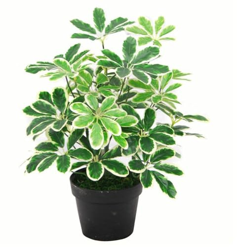 Botanik 55cm Variegated Artificial Umbrella Plant