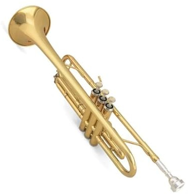 Messingtrompete Trompete Instrument B Tonart Anfänger Erwachsene Messing Lack Gold