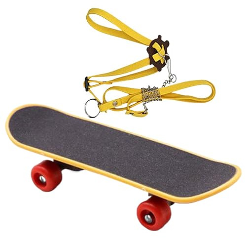 Retile bältesrep, sköldpaddsrep och skateboard set, justerbart skäggigt drakkabelträd – praktiskt leksakstår med rep på vandringsrep