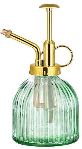 Cabilock Transparente Glas Bewässerung Spray Flasche Vintage Sukkulenten Bewässerung Flasche mit Top Pumpe Anlage Sprayer Mister Gießkanne für Indoor Outdoor Anlage