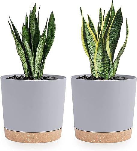 QCQHDU Lot de 2 Pot de Fleur Interieur,20.3cm Cache Pot Plante,Plastique Indoor Flower Pots avec Trous de Drainage et Base Amovible(Gris Clair20.3cm)