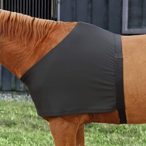 Horse Chest and Shoulder Protector Anti-Rub Elastic Equestrian Vest with Breathable Spandex Cloth for Outdoor Riding Comfort and Injury Prevention