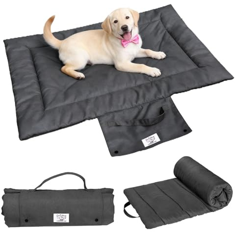 Jinfanshurich Hundfilt för resor – 70 × 50 cm bärbar & vikbar, mjuk husdjurstäcke för hundar och katter, tvättbar, resa hundfilt för soffa, bil och utomhus (S)