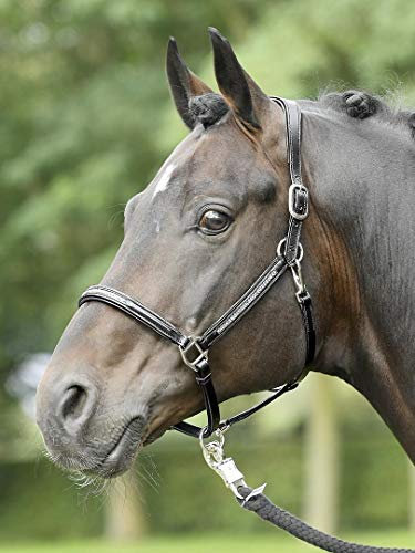 Busse Lederhalfter Sparkle schwarz Strass-silber Pony