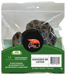 Gioia SHRIMP Gousses de Lotus x2 / Décors/Conditionneur d'eau Naturel pour Votre Aquarium/Poissons, Crevettes/Cachettes