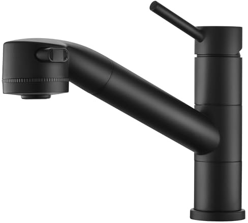 DelnVior Wasserhahn Küche Spültischarmatur mit ausziehbarer Brause, usziehbarer Wasserhahn 360° schwenkbar zwei Brausefunktionen Edelstahl schwarz.