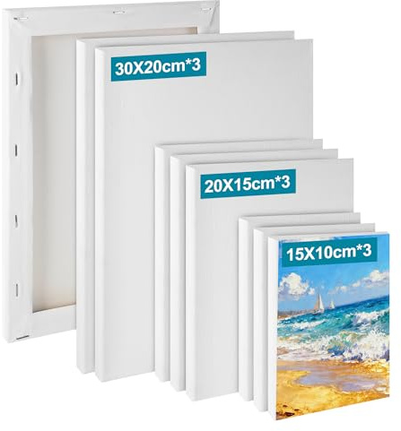 Set di 9 Tele per Dipingere 30x20 20x15 15x10cm, Tela per Dipingere in Cotone Senza Acidi Triple Gessatura,Tele da Dipingere Canvas Ideali per Acrilici per Dipingere, Acquerelli e Artisti Principianti