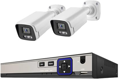 Sistema di telecamere di Sicurezza CCTV Poe HD da 10 canali e 5 MP, Kit NVR da 8 canali e 4 canali, rilevamento del Volto, Set IP for Esterni, Video Domestico(None,4CH NVR x 2Cameras)