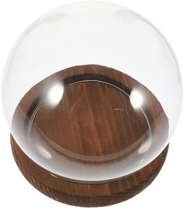 Angoily Cloche en Verre Ronde Transparente avec Socle en Bois, Dôme Décoratif pour Terrarium de Plantes, Couvre-jardinière Protecteur Anti-poussière, Accessoire Jardinage Intérieur, 15 Cm