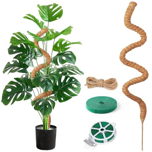 Aulese Supporto per rampicanti Monstera, 125 cm, per Monstera con accessori, supporto per piante da interno, supporto per piante rampicanti in interni