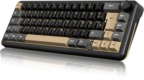 RedThunder K65 Kabellose Mechanische Gaming Tastatur, QWERTZ 67 Tasten, RGB, Fünfschichtige Polsterung Struktur, BT/USB-C/2,4GHz, Hot-swap, 4000 mAh, Gaming Tastatur für Windows, Mac, Xbox, PS4 PS5.