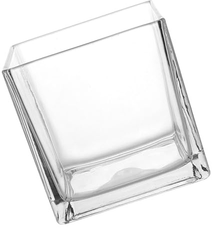 Vaso Trasparente Cubo in Vetro Spesso, Vaso Decorativo Moderno | Display Idroponico da Tavolo, Semplice e Chic, per Sala da Pranzo e Cucina