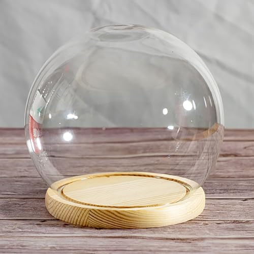 Glasklocka för burkar, Glaskupol med massiv träbas 10-15 cm diameter x 8-13 höjd(Dia15*H13)
