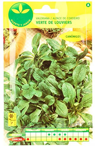 Sobre de Semillas de Hierba de los Canónigos para Cultivar en el Hogar