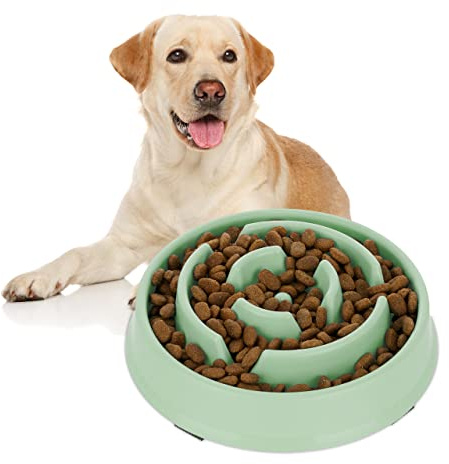 Relaxdays Anti Schling Napf, Futternapf für Hunde, Tiernapf 400 ml, langsames Fressen, Hundenapf spülmaschinenfest, grün, Kunststoff, 5 x 21 x 21 cm