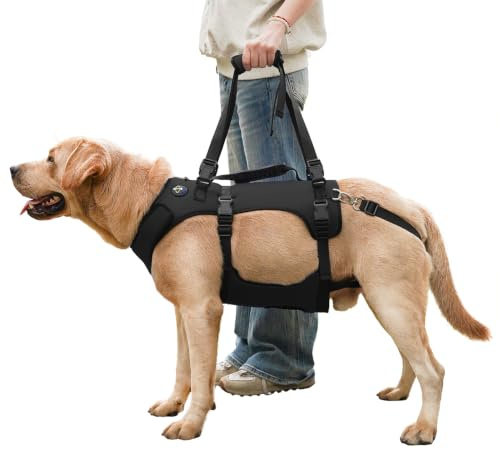 COODEO Hundegeschirr, Ganzkörperstütze und Erholungsweste, verstellbar und atmungsaktiv, für ältere, behinderte, gelenkverletzte, arthritische und gelähmte Hunde. (Schwarz, M)