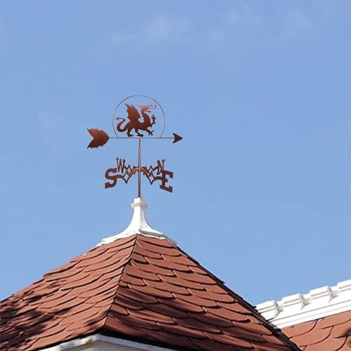 OUKMXSY Windfahne aus Edelstahl, Wetterfahne für den Außenbereich, Dekoration für Garten, Garage, Kuppel, Scheune – Drache