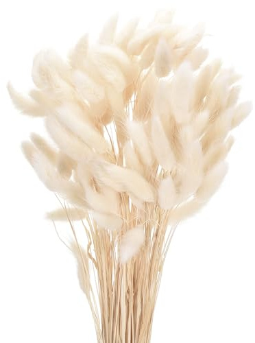 QUARKZMAN Hasenschwanzgras Getrocknet - Weiß, 120 Stück Getrocknete Blumen, 43cm Pampasgras Natürlicher für Florale Hochzeitsdekoration Weihnachten