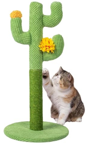 Arbre à Chat – 60 x 30 x 30 cm – Arbre à Cactus Vert avec Base en Bois Stable | griffoir pour Petits Chats, Meubles d'intérieur