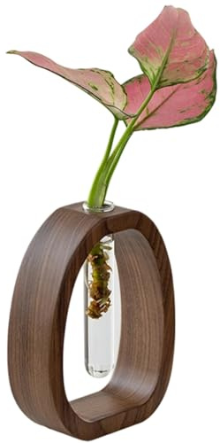 Jarrón Hidropónico | Florero Hidropónico Decorativo Transparente | Tubos de Ensayo con Soporte de Madera Decorativo para Escritorio Dormitorio Sala de Estar Hogar Fiesta Comedor
