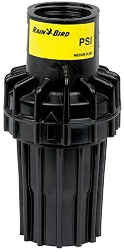 Rain Bird - Riduttore di pressione, 2,1 bar, 3/4 IG (PSI-M30)