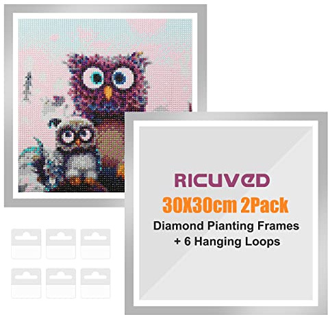 RICUVED 2 Packungen Silber Diamant Painting Rahmen Set, Diamond Painting Bilderrahmen 30x30 cm Silber, 5D Diamond Painting Rahmen Picture for Diamant Malerei 30x30 cm Diamond Painting Frame mit Haken