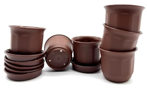 Kimmel Lot de 6 Mini Pots de Fleurs, 6 cm, avec Soucoupe, Marron