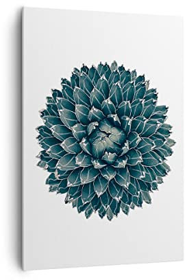 Moderne Impression sur Toile 70x100cm Image Tableau Decoration Murale Agave Reine Victoria Grand Tableaux Decoratifs Muraux Chambre Cuisine Vertical Deco Cadre Salon Art Wall Decor PA70x100-4129