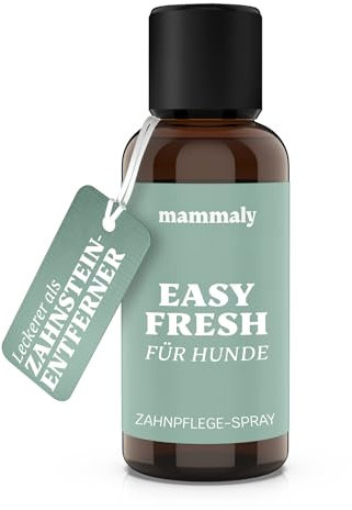 mammaly Dentalspray für Hunde & Katzen - Zahnpflege in unter 2 Minuten - Perfekte Alternative zu Zahnpasta - Mundspray gegen Maulgeruch und Zahnstein - unterstützt Zahnreinigung - 100ml (Jahresvorrat)