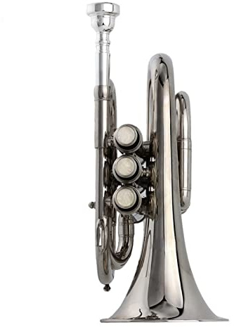 Trompete im Taschenformat B-Taschentrompete, Versilbert, Versilbertes Kornett-Blasinstrument Aus Messing, Vernickelt Taschentrompete
