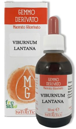 Viburnum lantana gemmoderivato 50 ml - Viburno