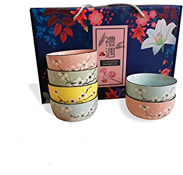 Reisschüssel-Set im japanischen Stil, 6 Stück