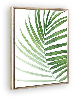 Bildershop-24 Schattenfugenrahmen Set Lemgo Silber Antik mit Keilrahmen Leinwand Bild Druck Motiv: Palmenblatt 1 40x50cm