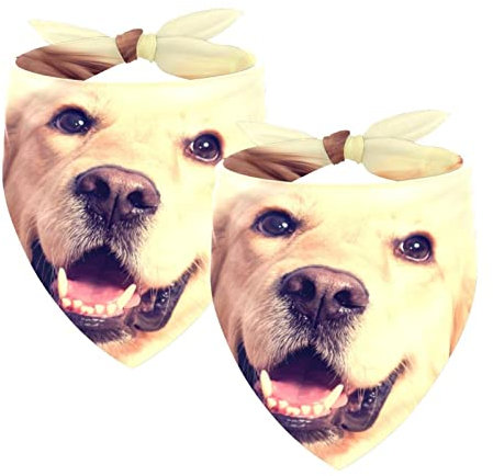 Hundehalstuch, Hundehalstuch, waschbar, Zubehör für kleine, mittelgroße und große Hunde, Welpen, Katzen, Hund, Golden Retriever, 2 Stück