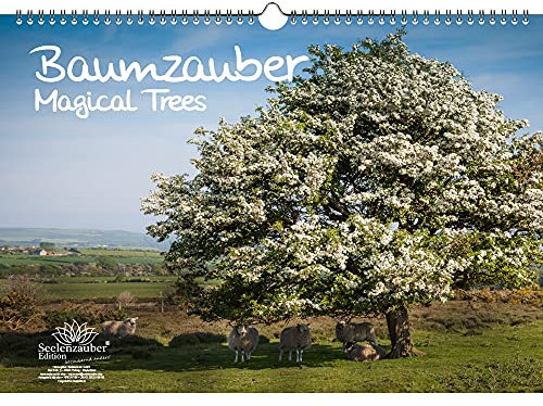 Baumzauber DIN A3 Kalender - Immerwährender Kalender Baum, Bäume und Wald - Seelenzauber