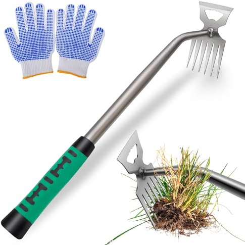 GMMG Désherbeur Manuel, Binette Jardinage, Arrache Mauvaise Herbe, Outil de Desherbage pour Ameublir, Aérer et Désherber Le Sol(6 Teeth)